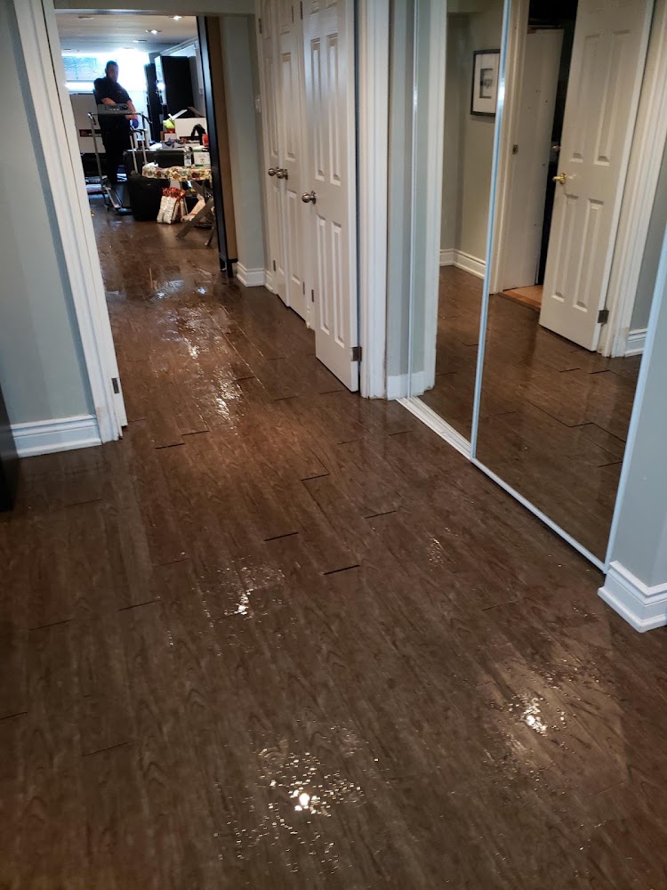 Water Damage Toronto Mold Removal Inc.