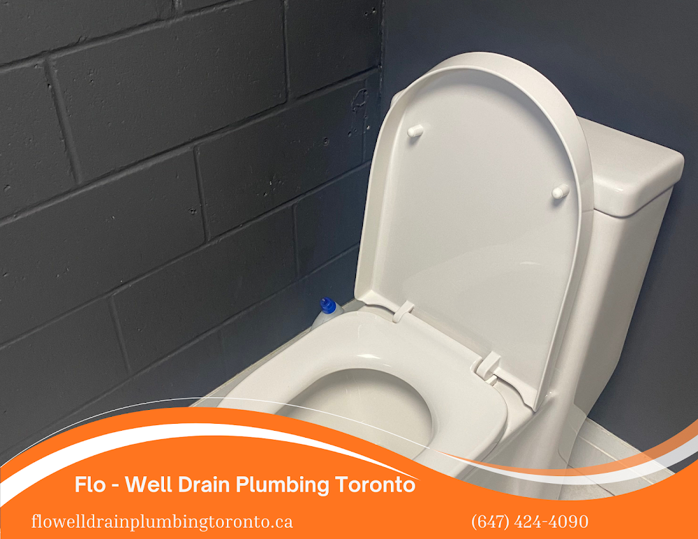 Flo - Well Drain Plumbing Toronto
